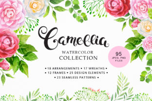 Camellia Watercolor Collection: A Versatile Resource for Designers and Creators