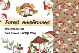 Forest Mushrooms Watercolor Set