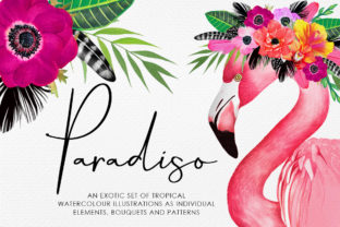 Paradiso: Exotic Tropical Watercolour Illustrations for Creative Projects